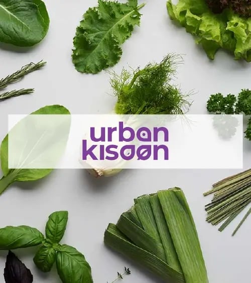 urban-kisaan